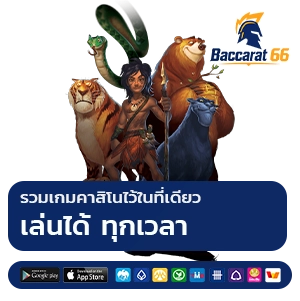 บาคาร่า 66 เว็บสมัครเล่น